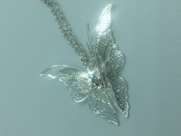 Silber glänzender Schmetterling